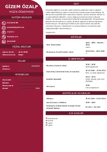 Müzik Öğretmeni Cv Örnekleri cv indir